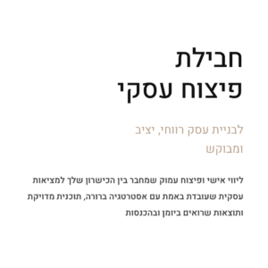 חבילת פיצוח עסקי